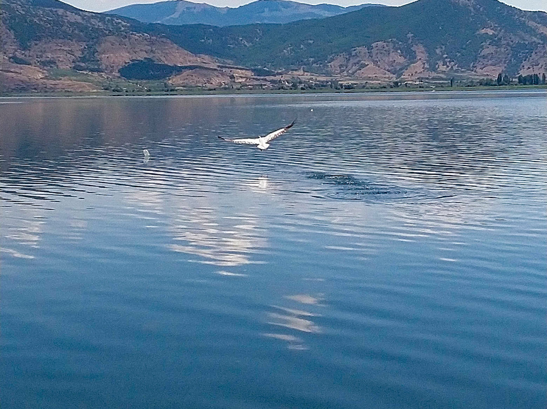 Kastoria Lake景点图片
