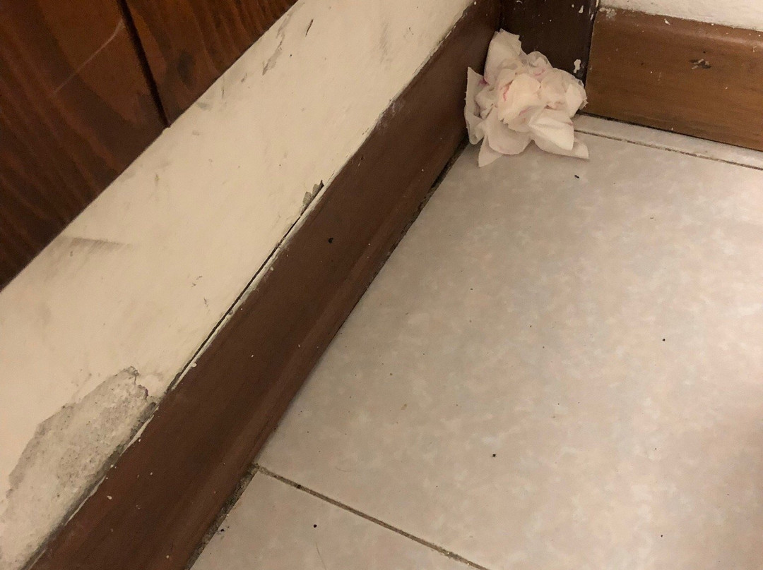 Villenpark Sanghen主图