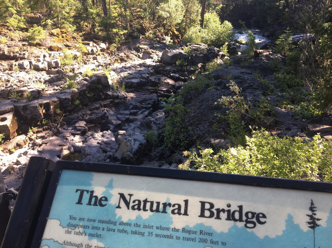 Natural Bridge Viewpoint-Prospect必去景点