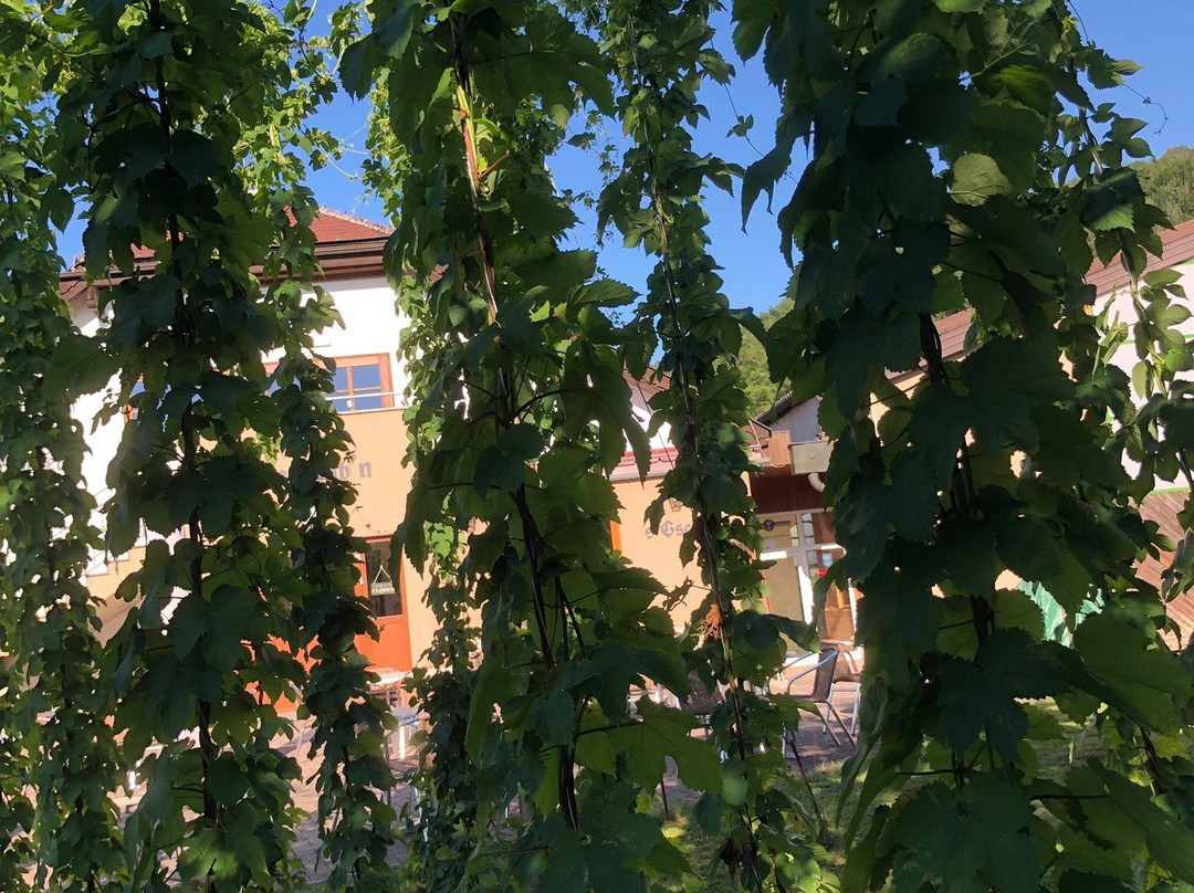 Bierschmiede-阿特湖畔施泰因巴赫必去景点