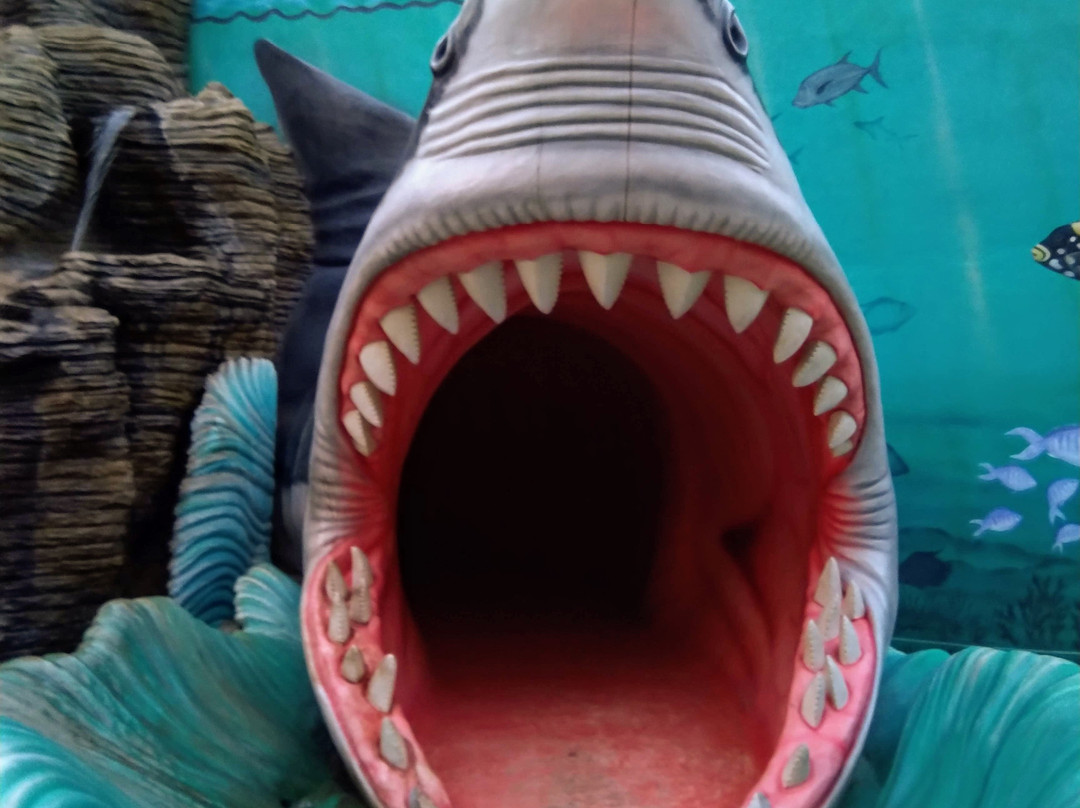 Planet Earth Aquarium景点图片