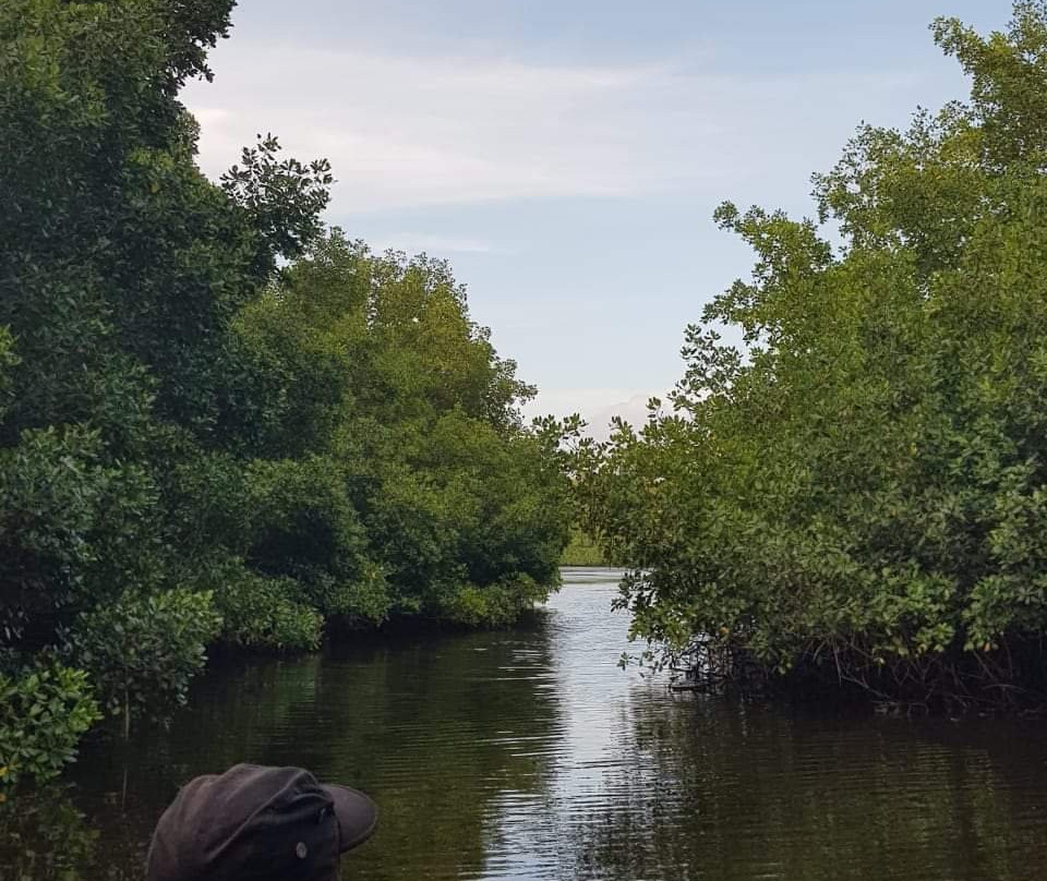 Caroni Bird Sanctuary景点图片