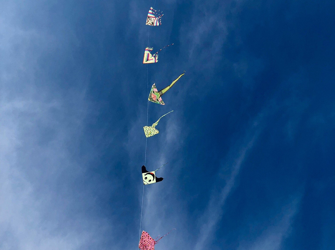 Spiaggia Lido di Fano-法诺必去景点