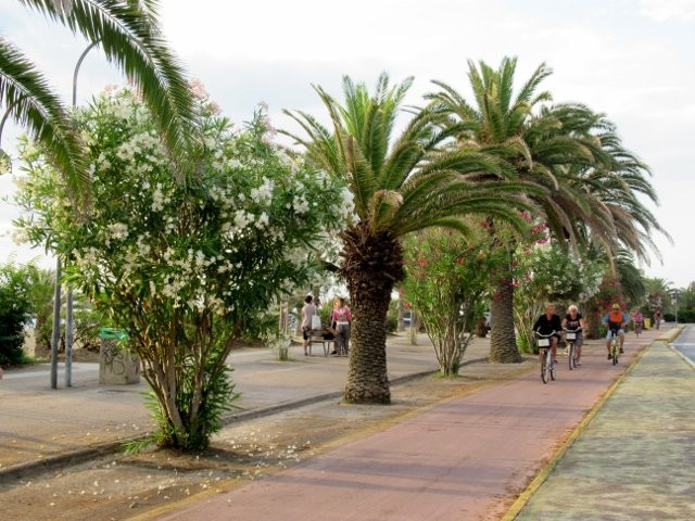 Pista Ciclabile Porto d'Ascoli a Cupramarittima景点图片