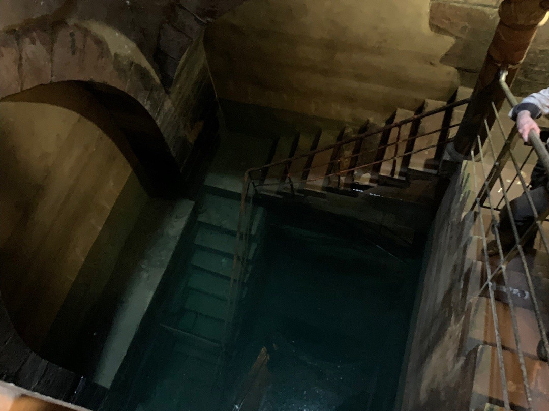 Mikveh-Friedberg必去景点