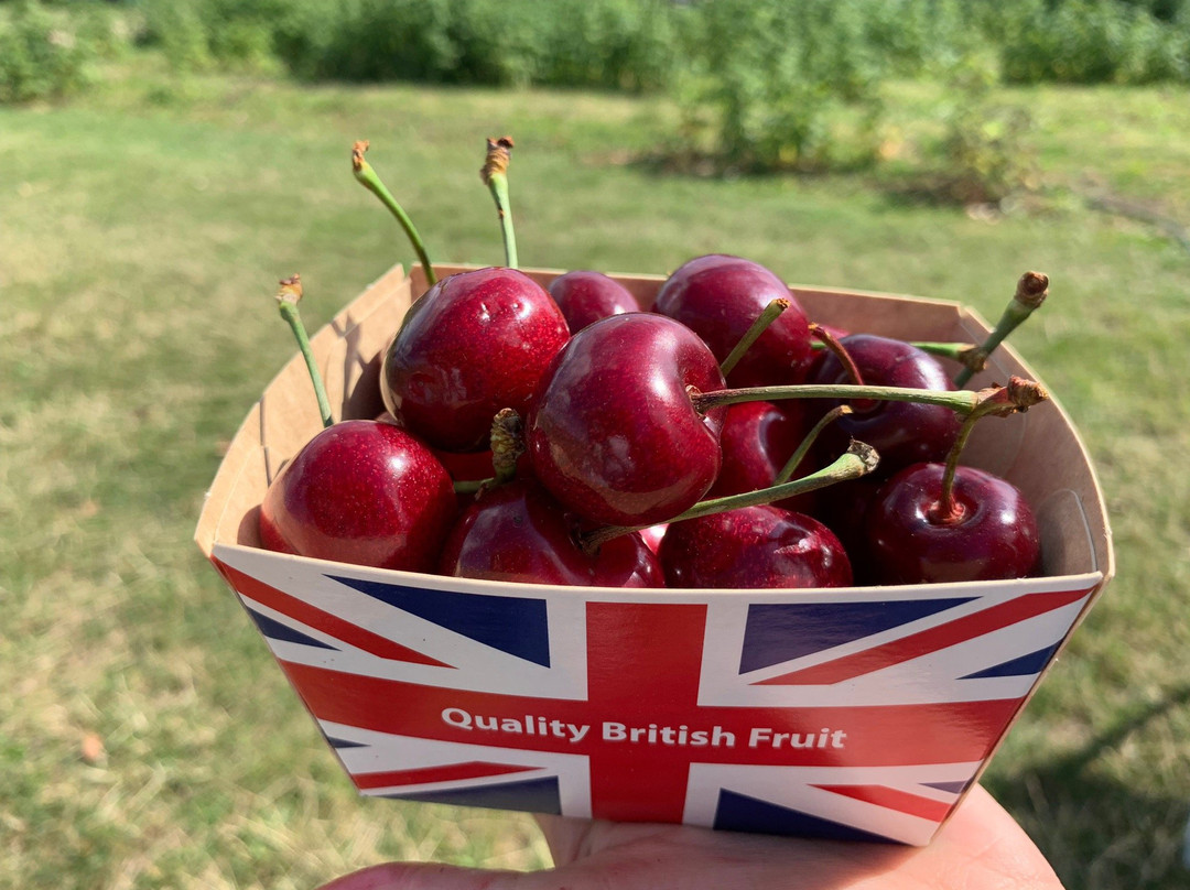 Stanhill Farm Kent-Wilmington必去景点