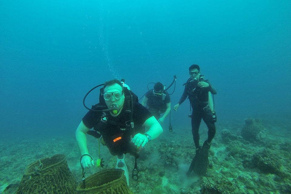 Steve Davies Dive Shop-Ponson Island必去景点