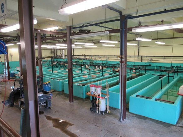 Linesville Fish Hatchery景点图片