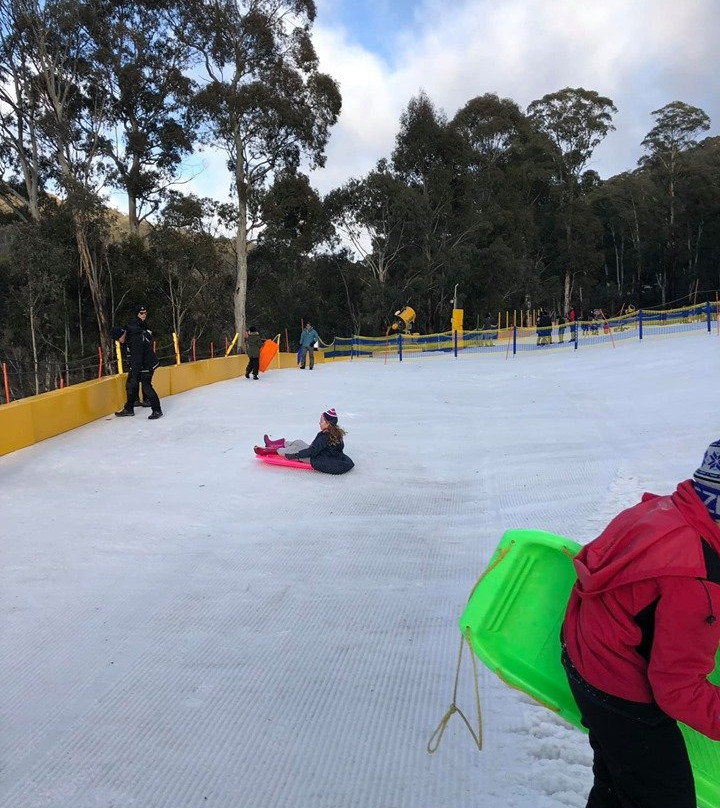 Corin Forest-Paddys River必去景点