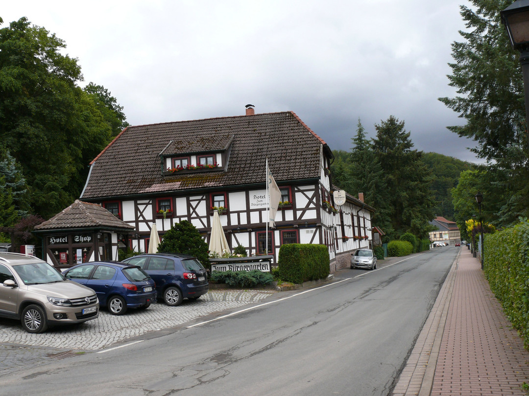 Hotel Zum Buergergarten主图