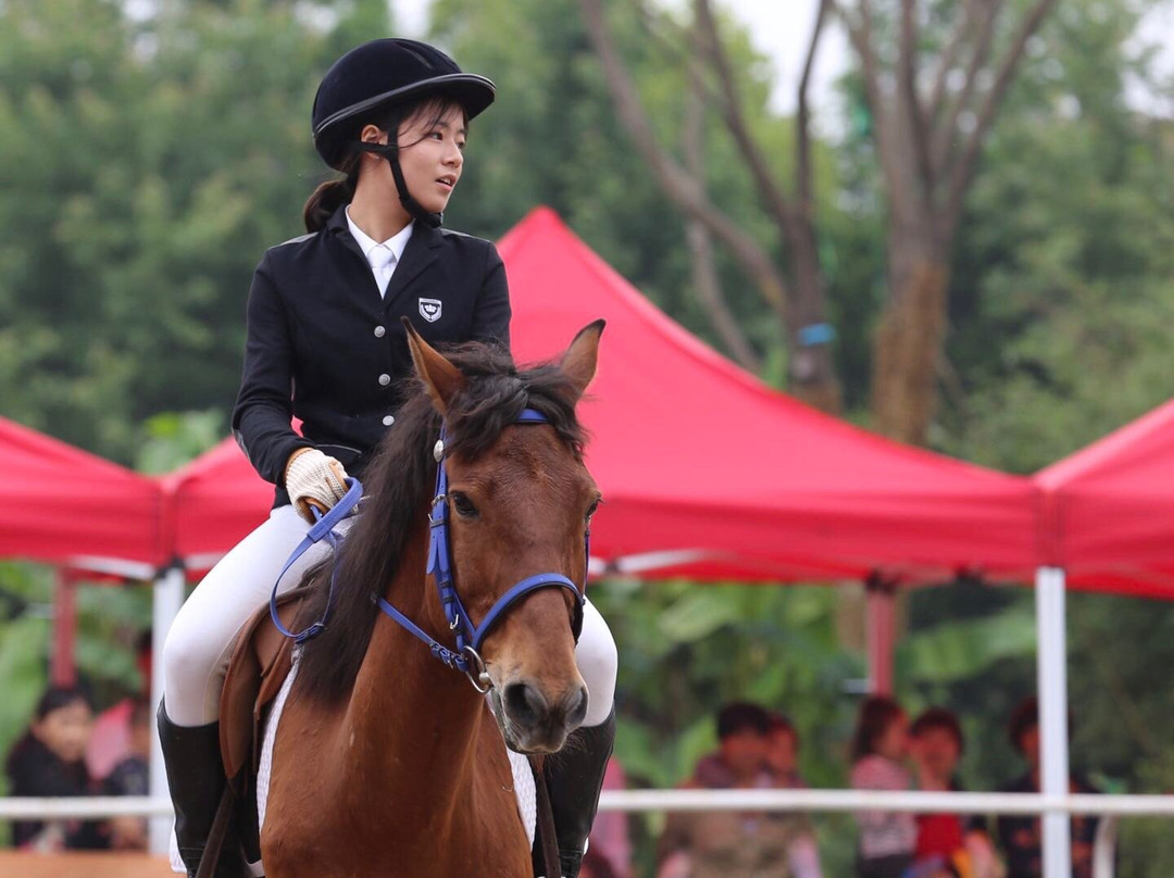 西芦园-太仓市必去景点