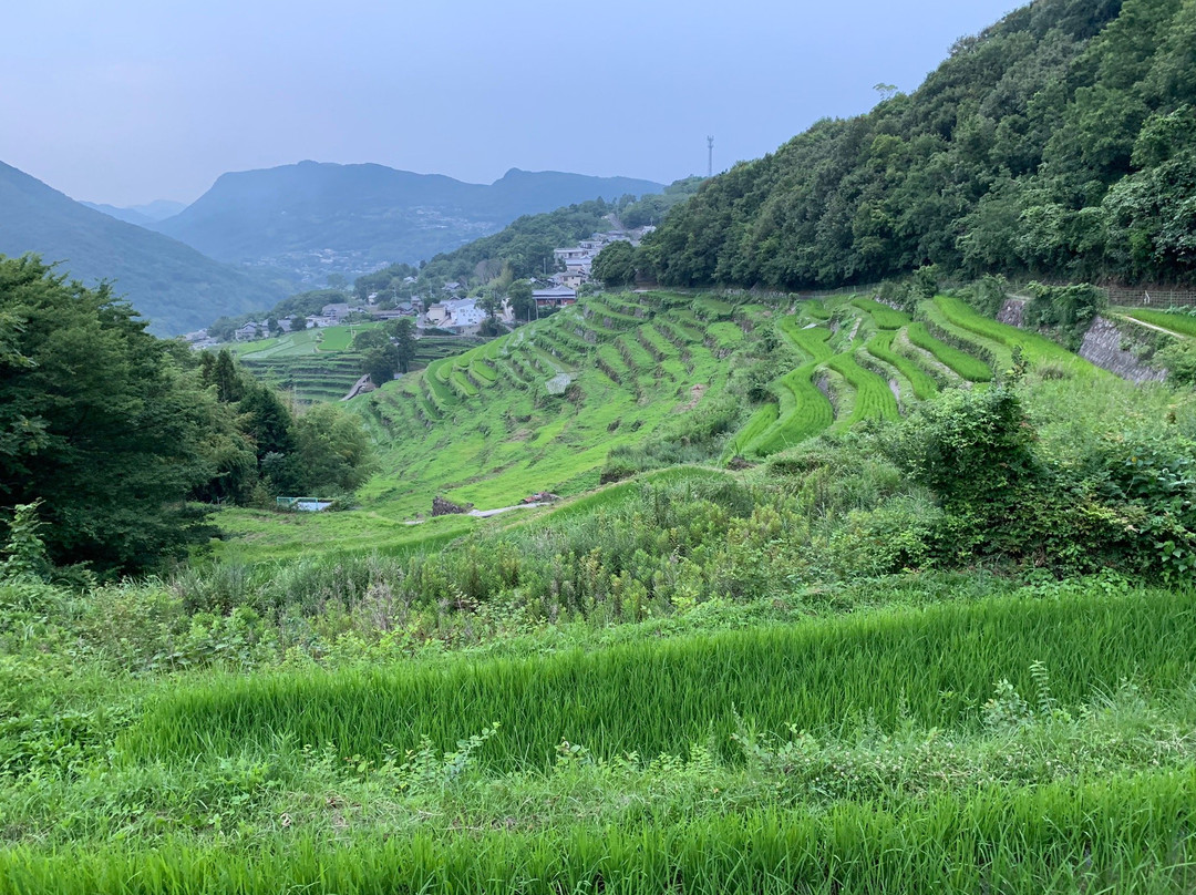 Nakayama Senmaida-小豆岛町必去景点