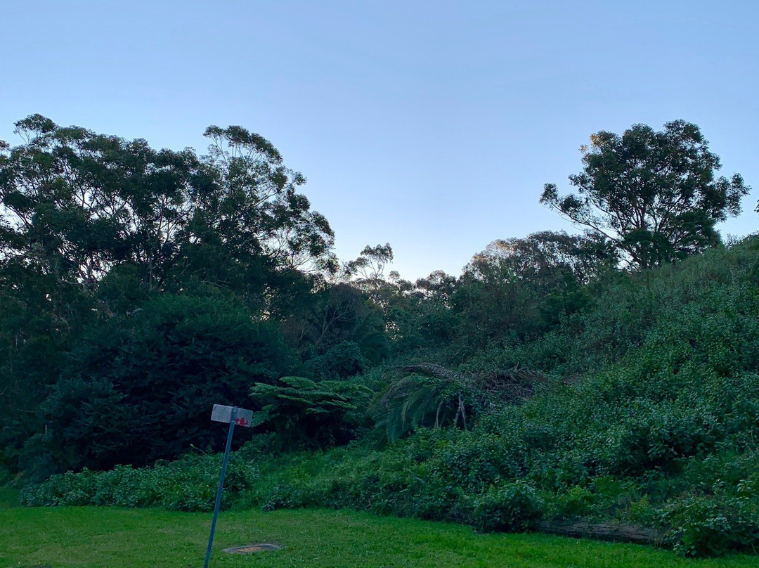 Wolli Creek Walking Track景点图片