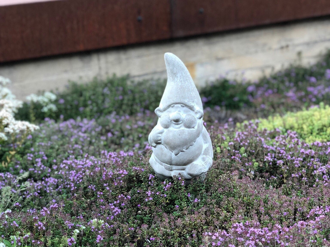 Römerbad Rosenfeld景点图片