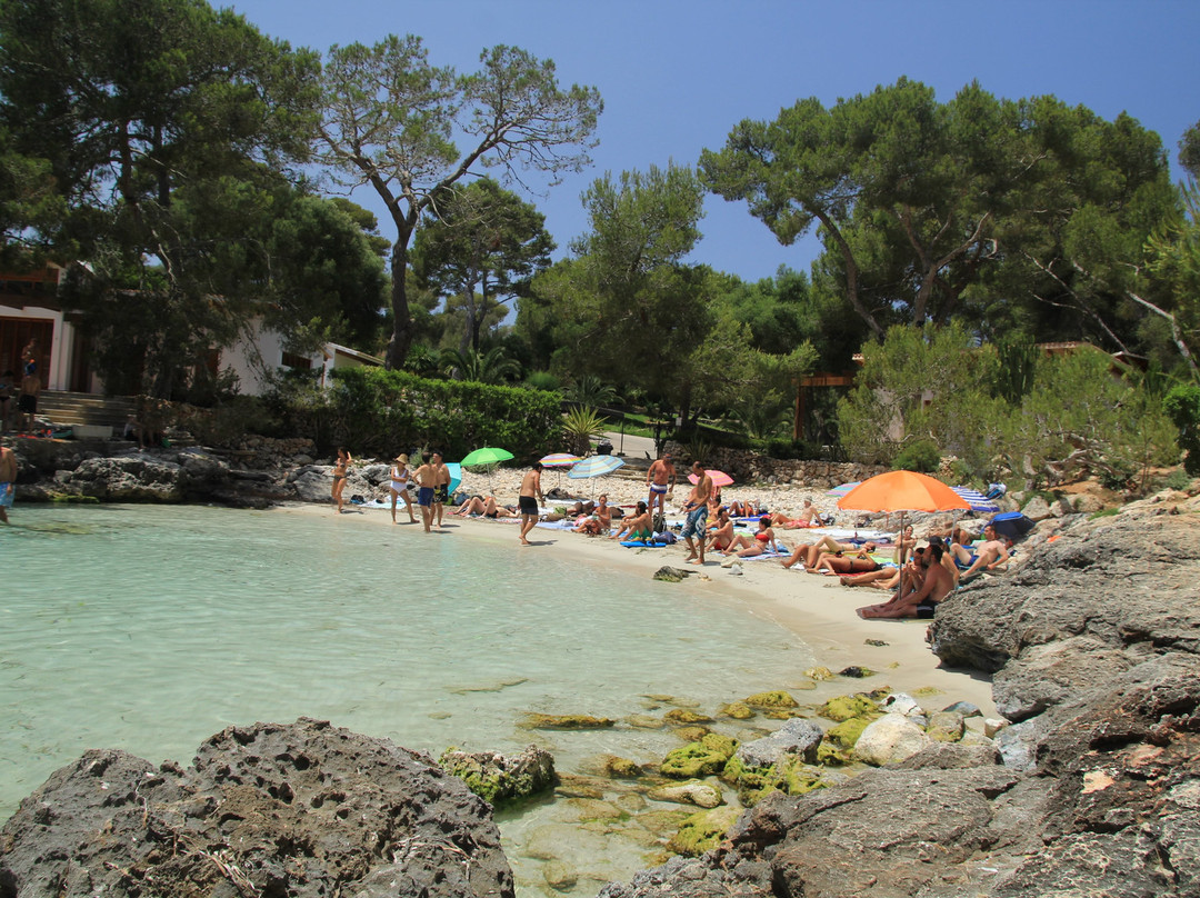 Cala Mitjana-Arta必去景点