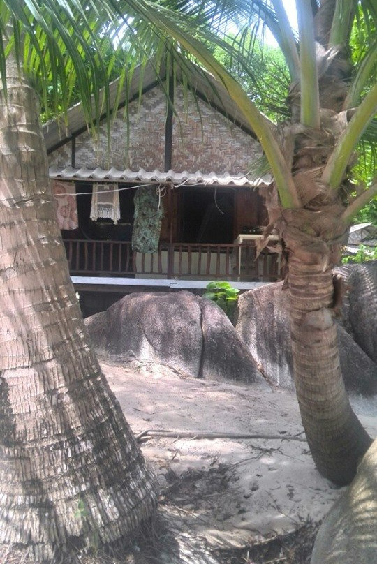 Cookies Bungalow主图