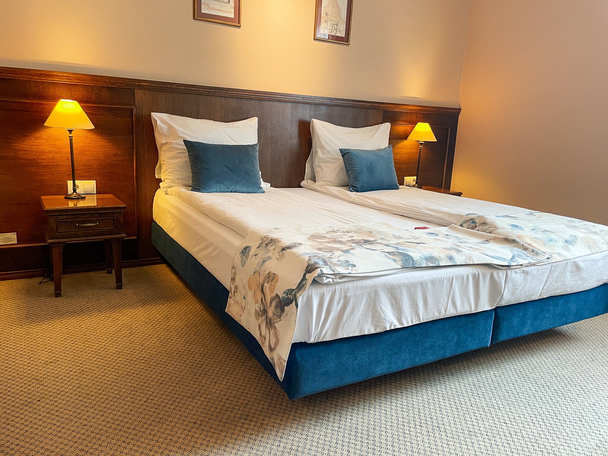 Park Hotel & Fitness Club Rzeszow-客卧