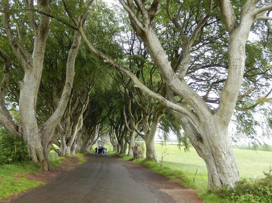 NITOUR-贝尔法斯特必去景点