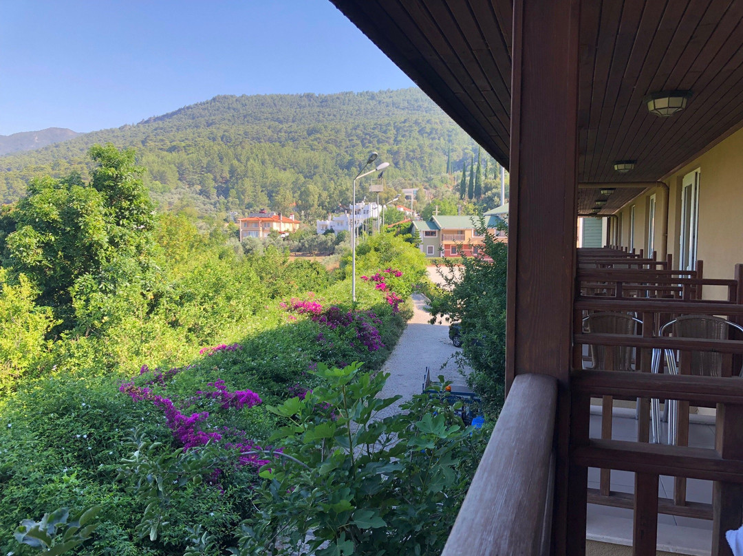 Padok Premium Hotel Stables主图