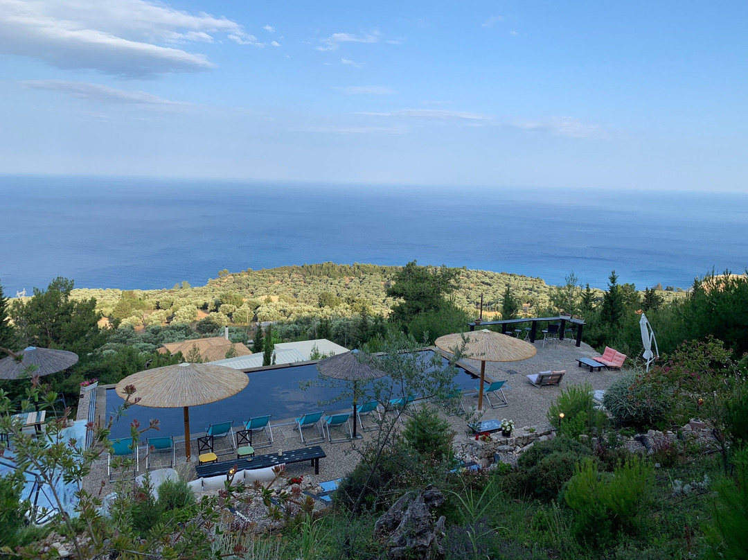 Serenity Boutique Hotel主图