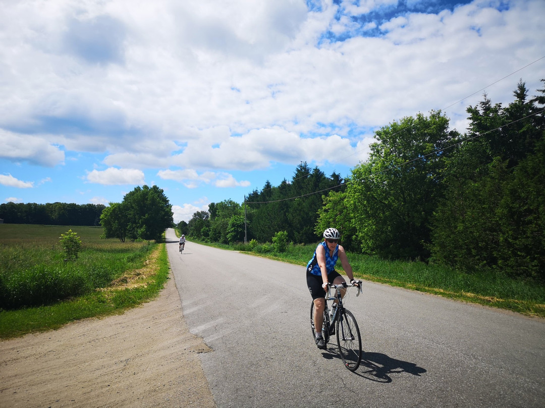 Mountain Ash Farm Country Manor and Spa主图