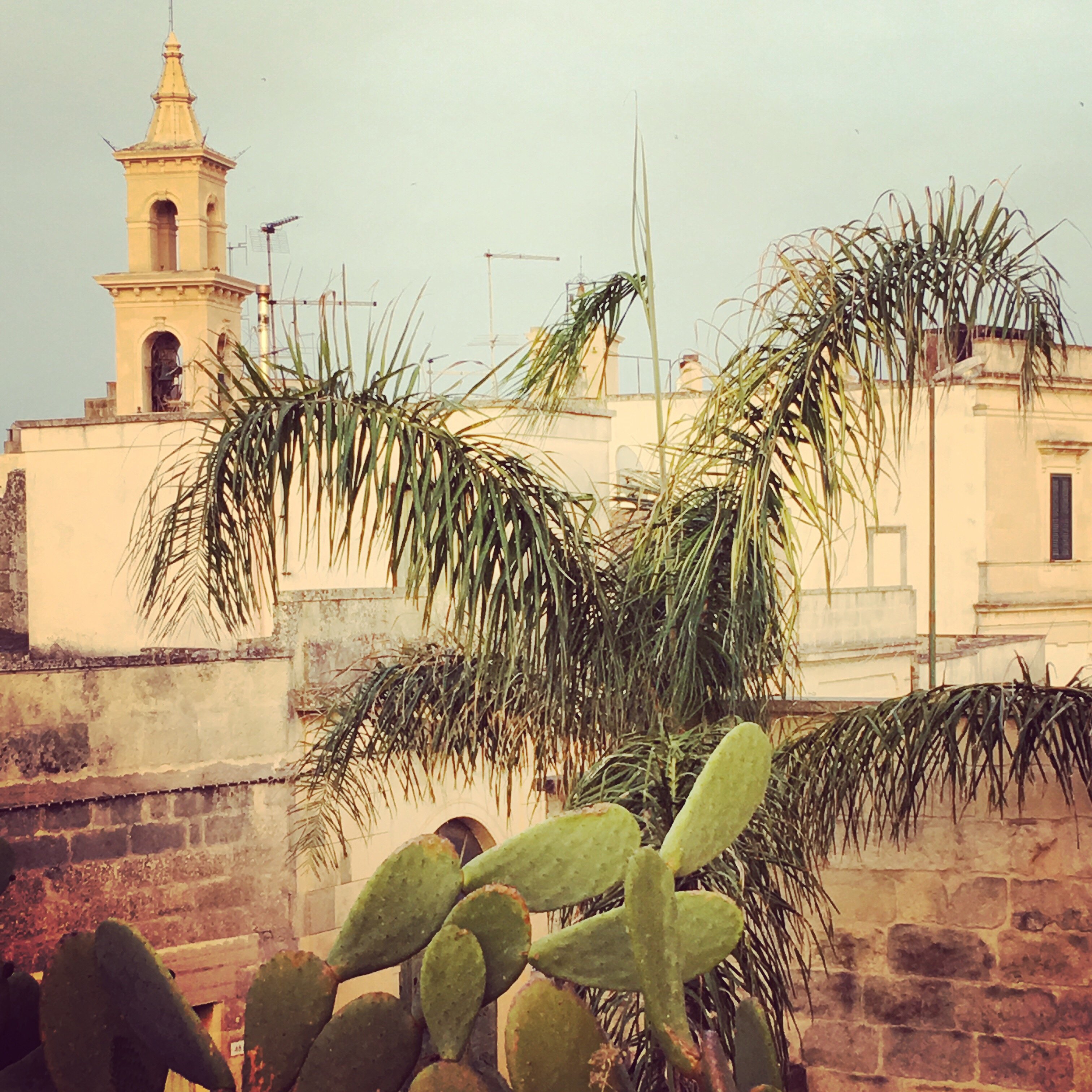 La Muzza Bed & Breakfast-酒店景观