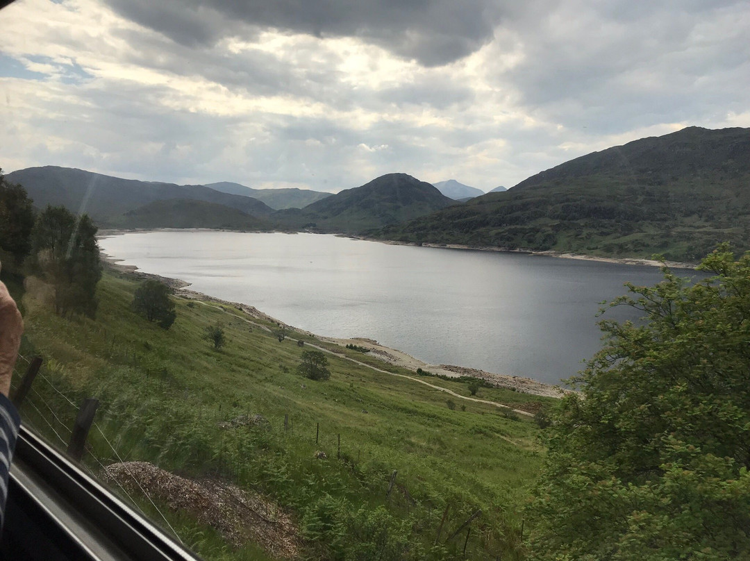 Thistles On Skye主图