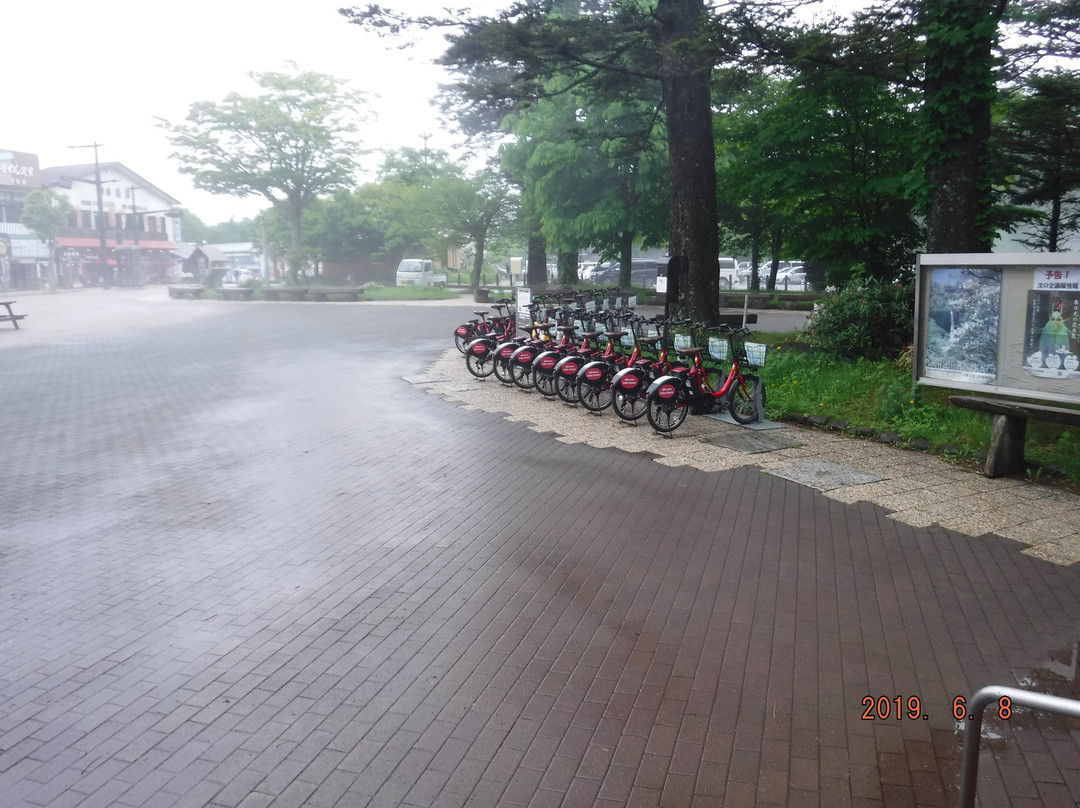 Tochigi Prefectural Nikko Natural Science Museum-日光市必去景点