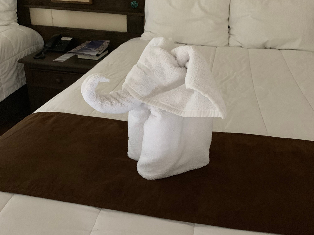 Mision Xalapa Plaza de las Convenciones主图