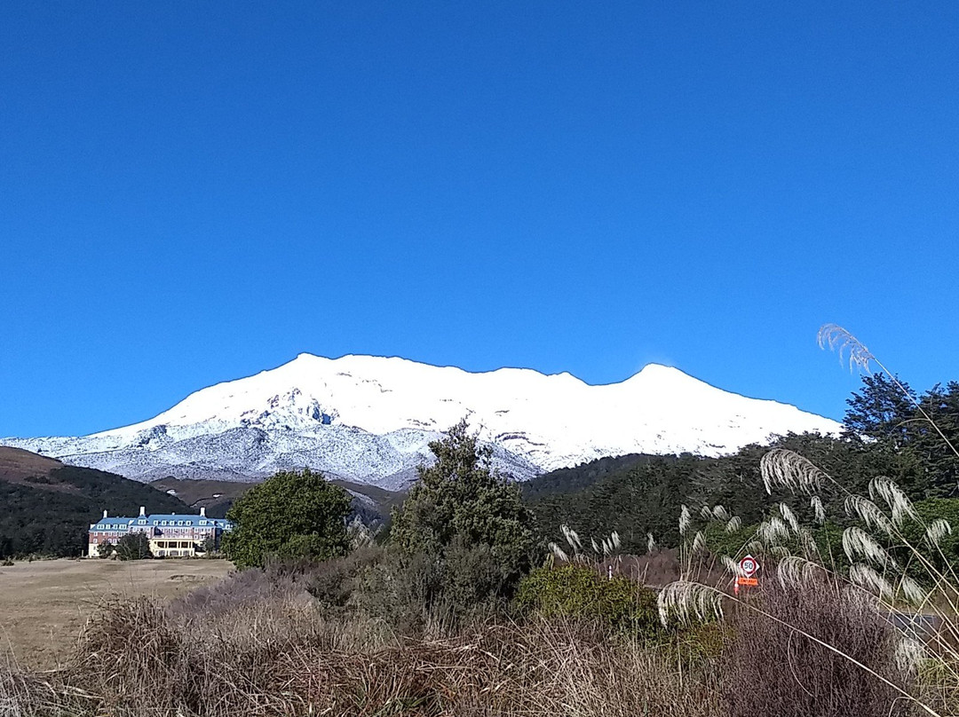 Tokaanu Lodge Motel主图