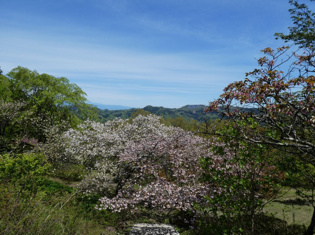 Mt. Minoyama-皆野町必去景点