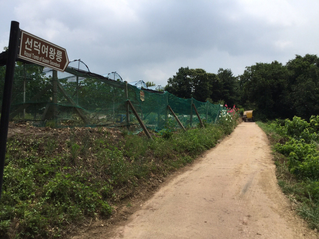 Royal Tomb of Queen Seondeok-庆州市必去景点