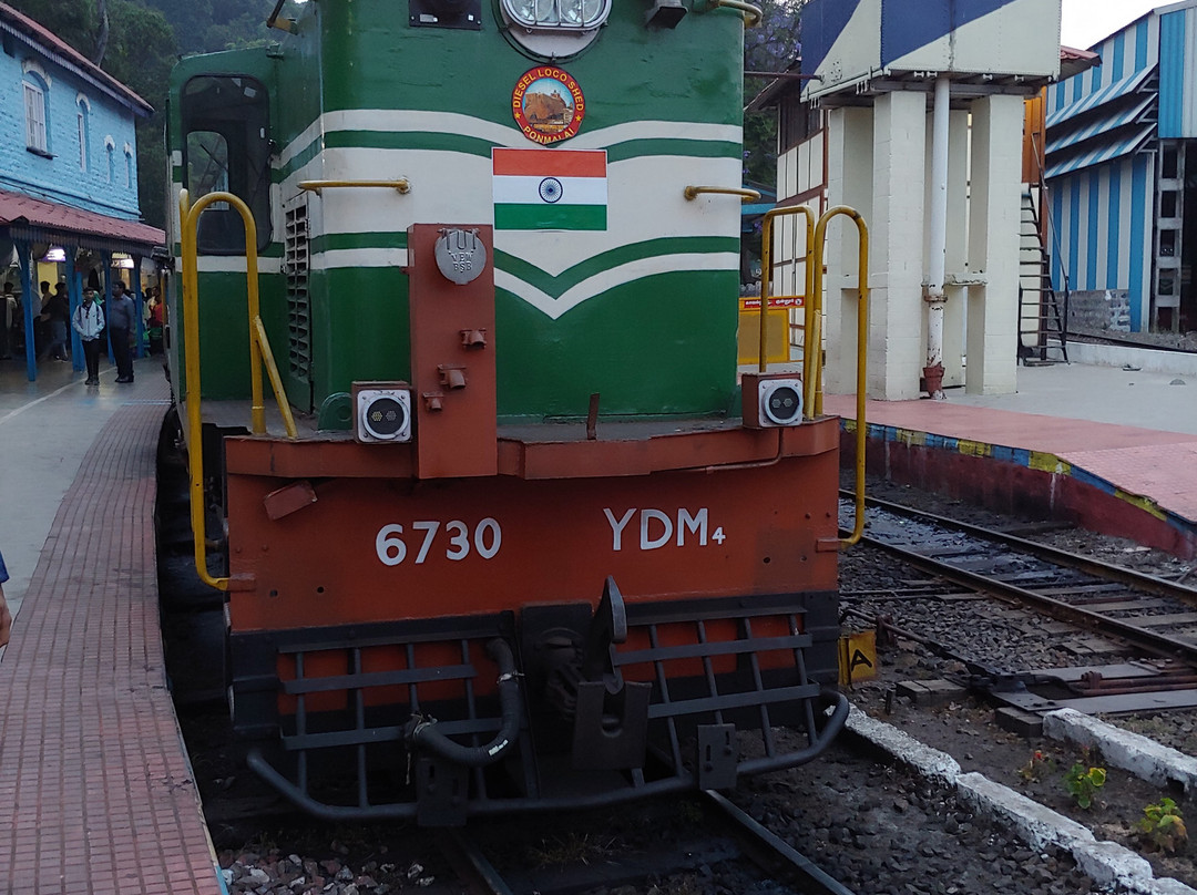 Coonoor Central景点图片
