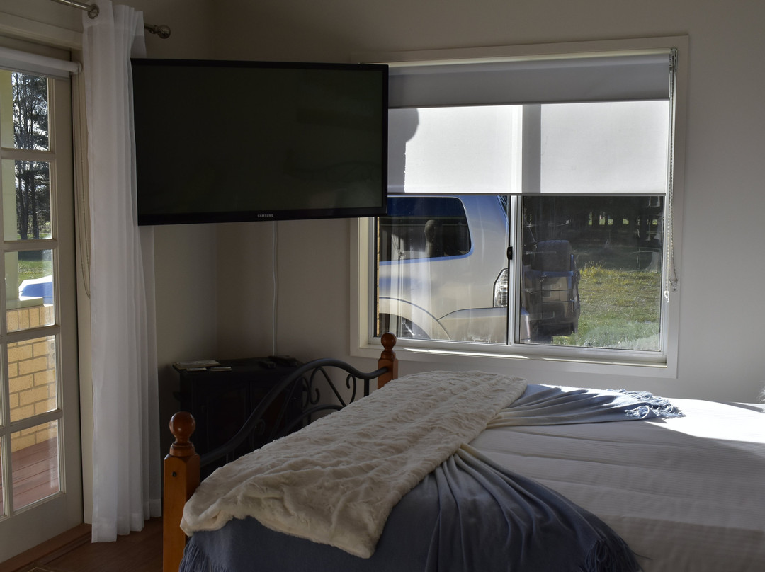 Mansfield Evening Star主图