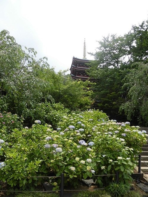 Hondo-ji Temple-松户市必去景点