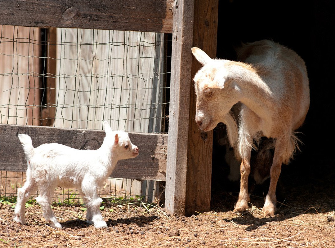 Splendor Farms-Bush必去景点