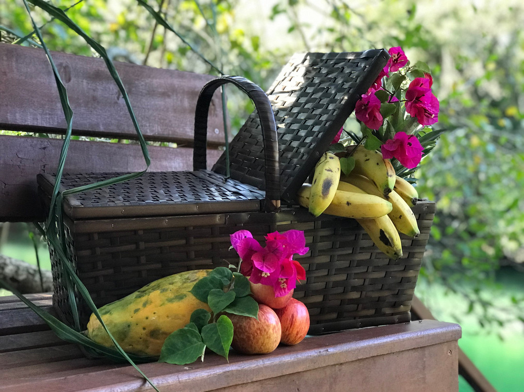 Pousada Boyrá主图