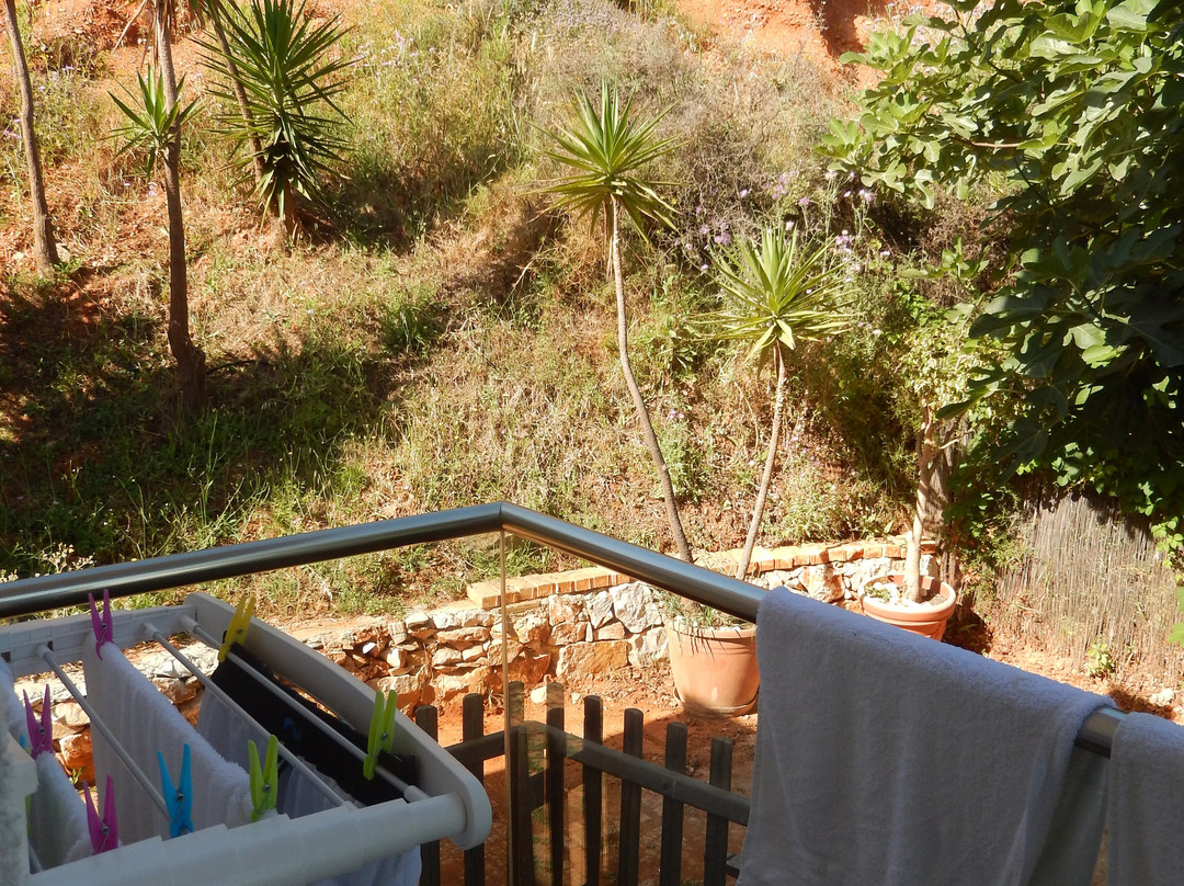 弗雷达公寓酒店主图