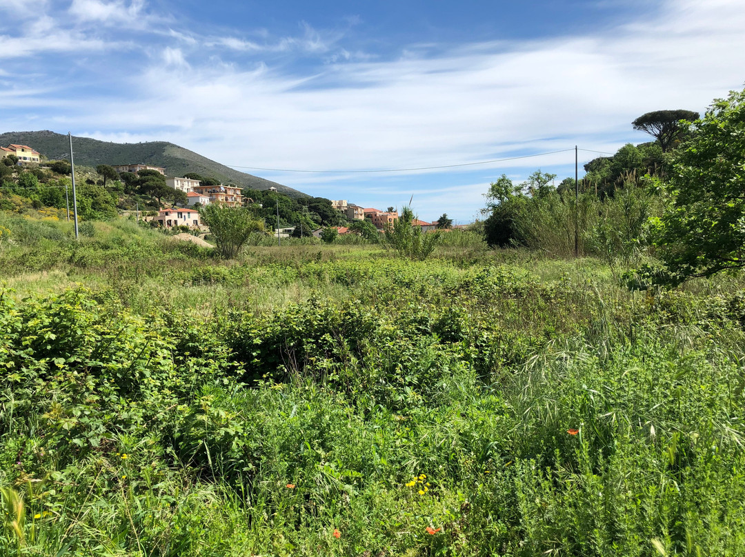 B&B Casale Coreallo主图