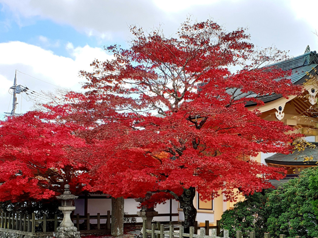 Sainai-in Temple-高野町必去景点