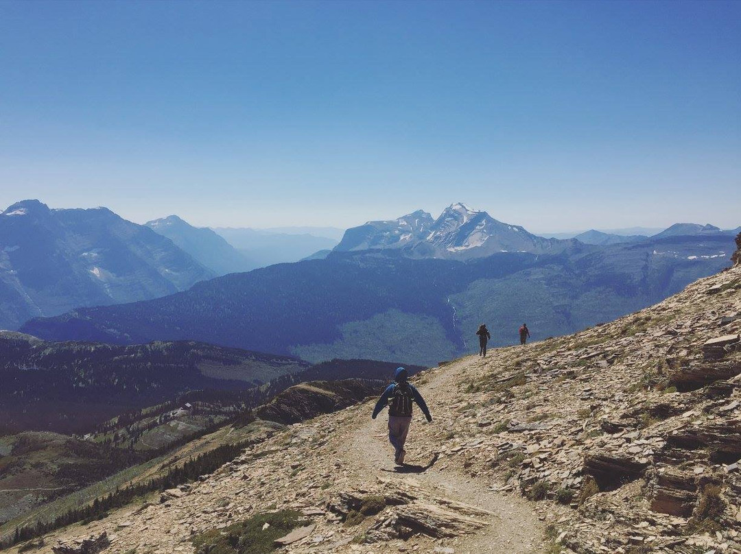 Swiftcurrent Pass Hike景点图片