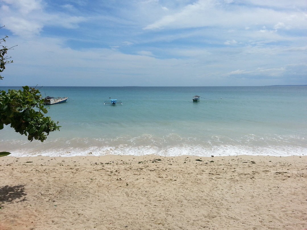 Sotis Hotel Kupang主图