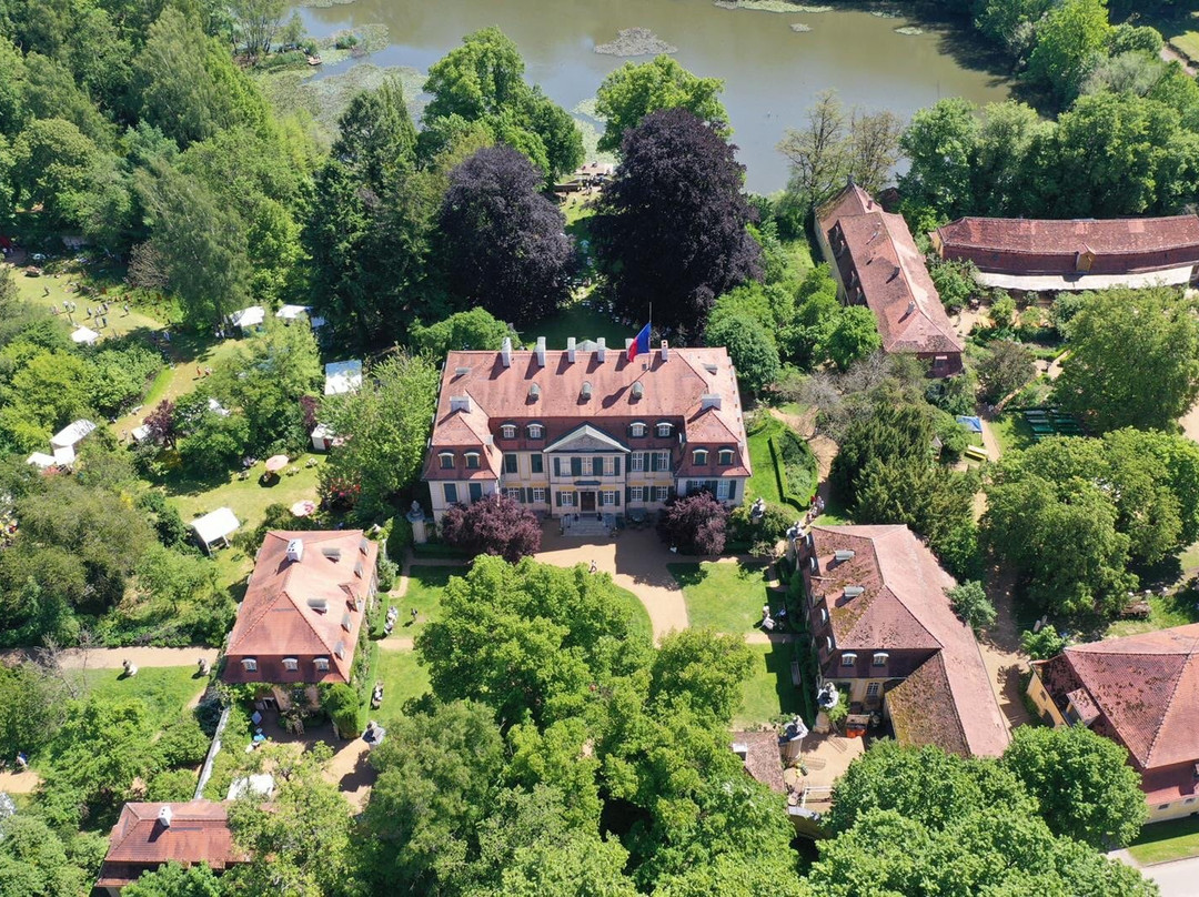 Schlosspark Dennenlohe景点图片
