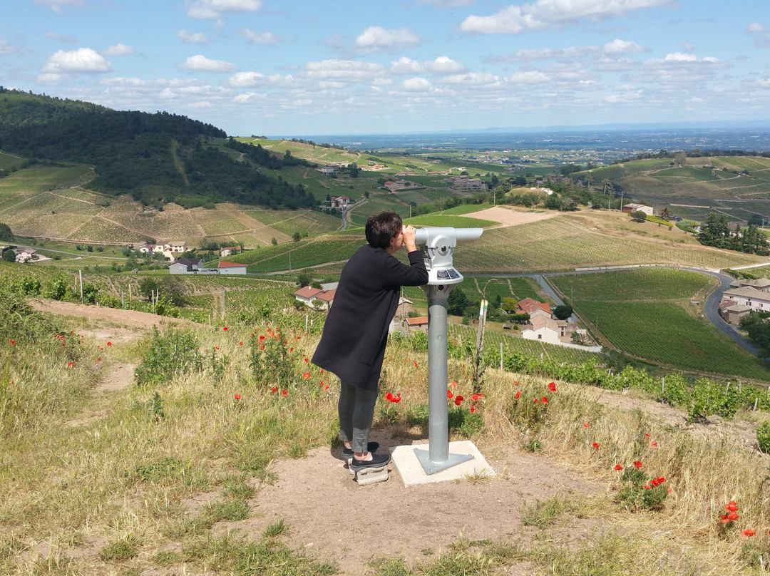 Domaine de la Madone景点图片