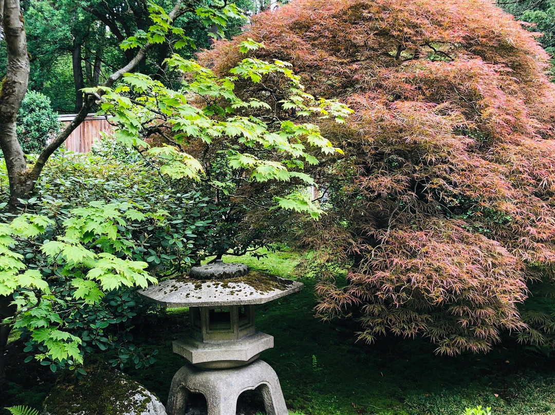 日本茶园景点图片