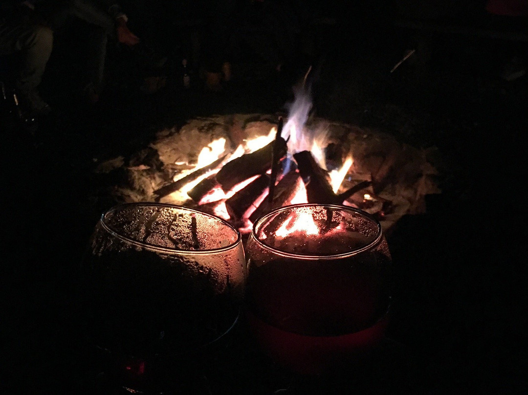 La Montana Magica主图