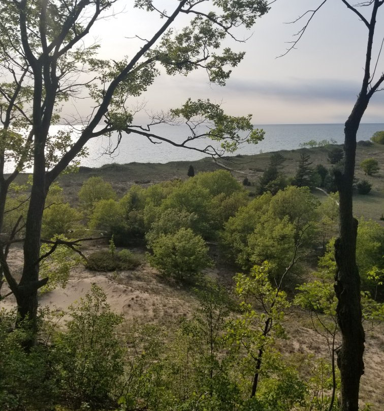 Rosy Mound Natural Area-格兰德黑文必去景点