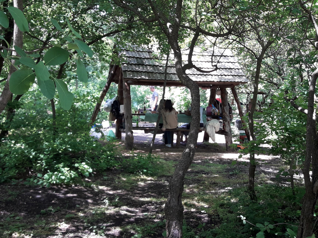 Ethno Park New Vasyuki-Molodizhne必去景点