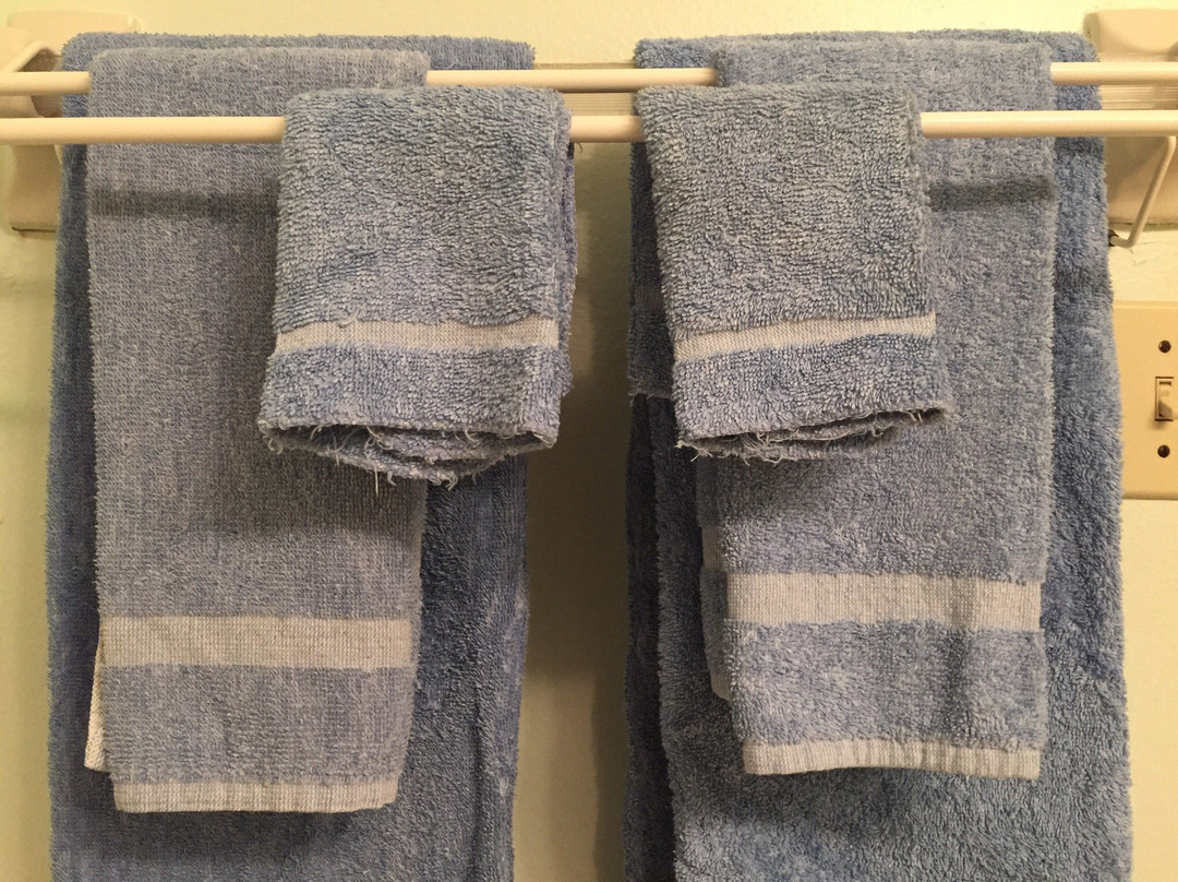 Englewood Beach and Yacht Club主图