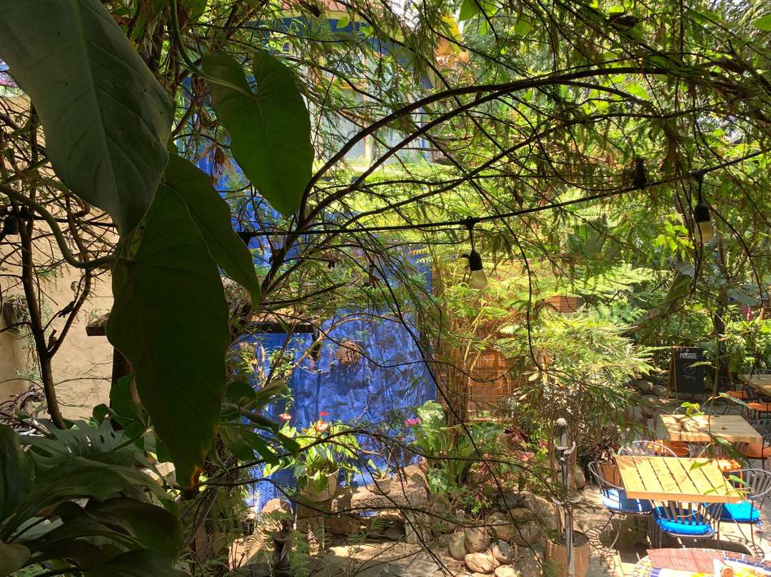 Mesón De Leyendas Breakfast & Downtown主图